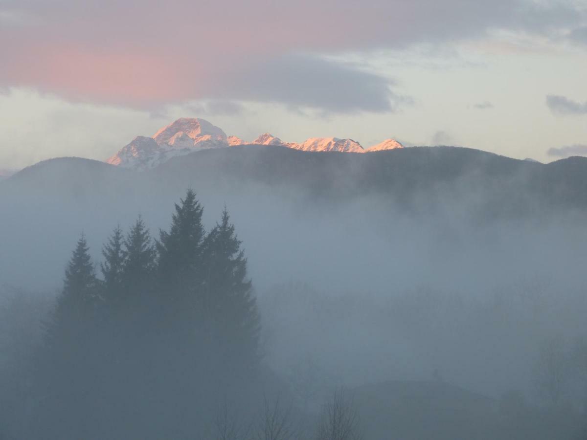 Splendide Vue Pyrenees, Rez De Jardin 2 Chambres Montjoie-en-Couserans Ngoại thất bức ảnh